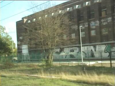 reiscz174.jpg