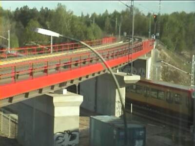 reiscz225.jpg
