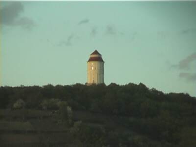 reiscz290.jpg