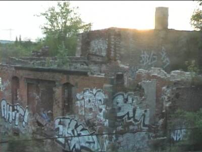 reiscz355.jpg