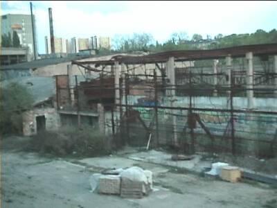 reiscz381.jpg