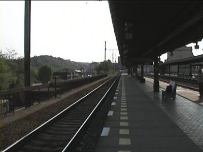 reiscz459.jpg
