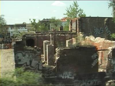reiscz556.jpg