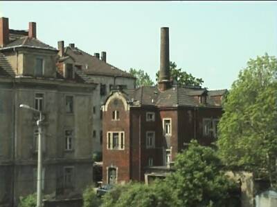 reiscz559.jpg